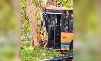 Hotel Staff, 26, Dies After Bus Crash in Le Morne