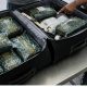 British Arrested at SSR Airport After Customs Seize Rs 15.7 Million of Cannabis