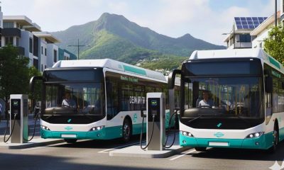 2030 Deadline: Transport Company Commits to 100% Renewable Bus Fleet