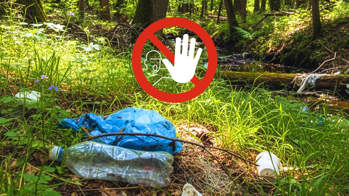 New Plastic Bag Regulations Enforced: 7.9% Drop in Landfill Waste Not Enough