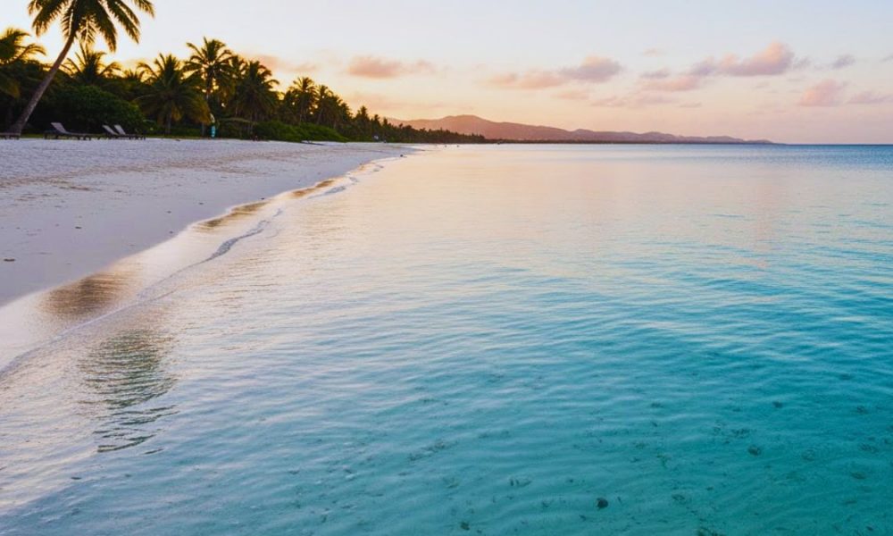 Human Leg Washed Up on Flic-en-Flac Shoreline