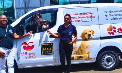 Stray Animal Charity's 'Lifeline Van' Dream Finally Realised
