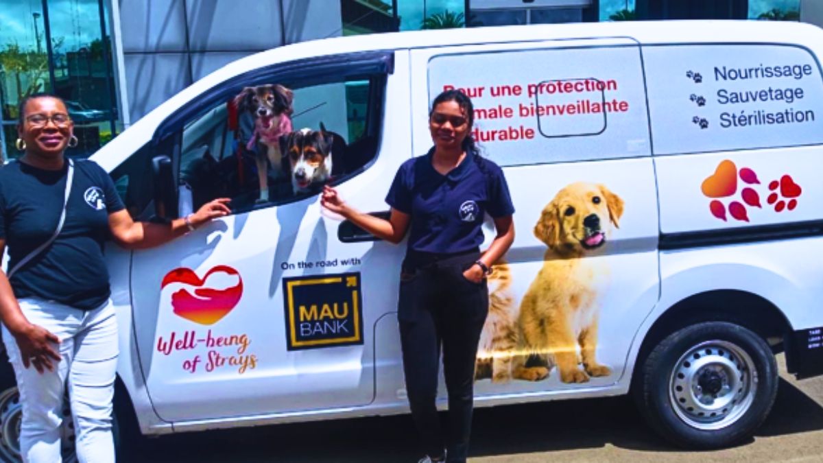 Stray Animal Charity's 'Lifeline Van' Dream Finally Realised