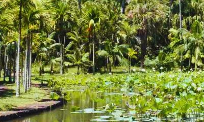 3 Year Old Boy Left Alone After Shelter Staff Make Botanical Garden Error