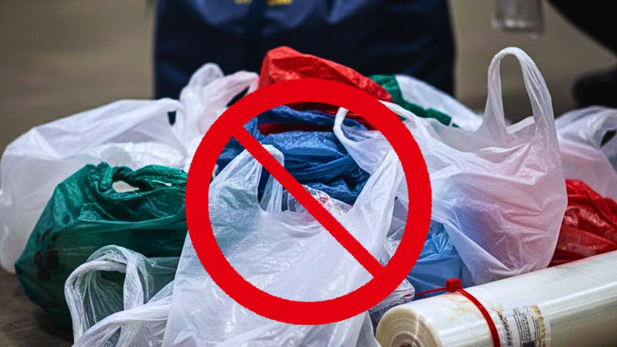 Over 46,000 Illegal Plastic Bags seized in Riche-Terre Factory Raid