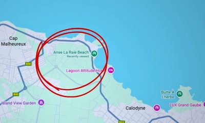 Les Palétuviers Preserves 20 Hectares of Mangrove Forest at Anse la Raie