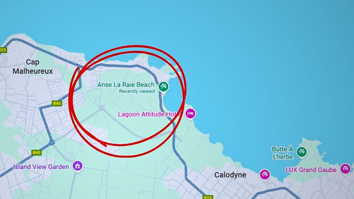 Les Palétuviers Preserves 20 Hectares of Mangrove Forest at Anse la Raie