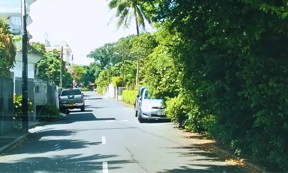 Major Road Hazard as Overgrown Hedges Block Visibility for Beau-Bassin Drivers