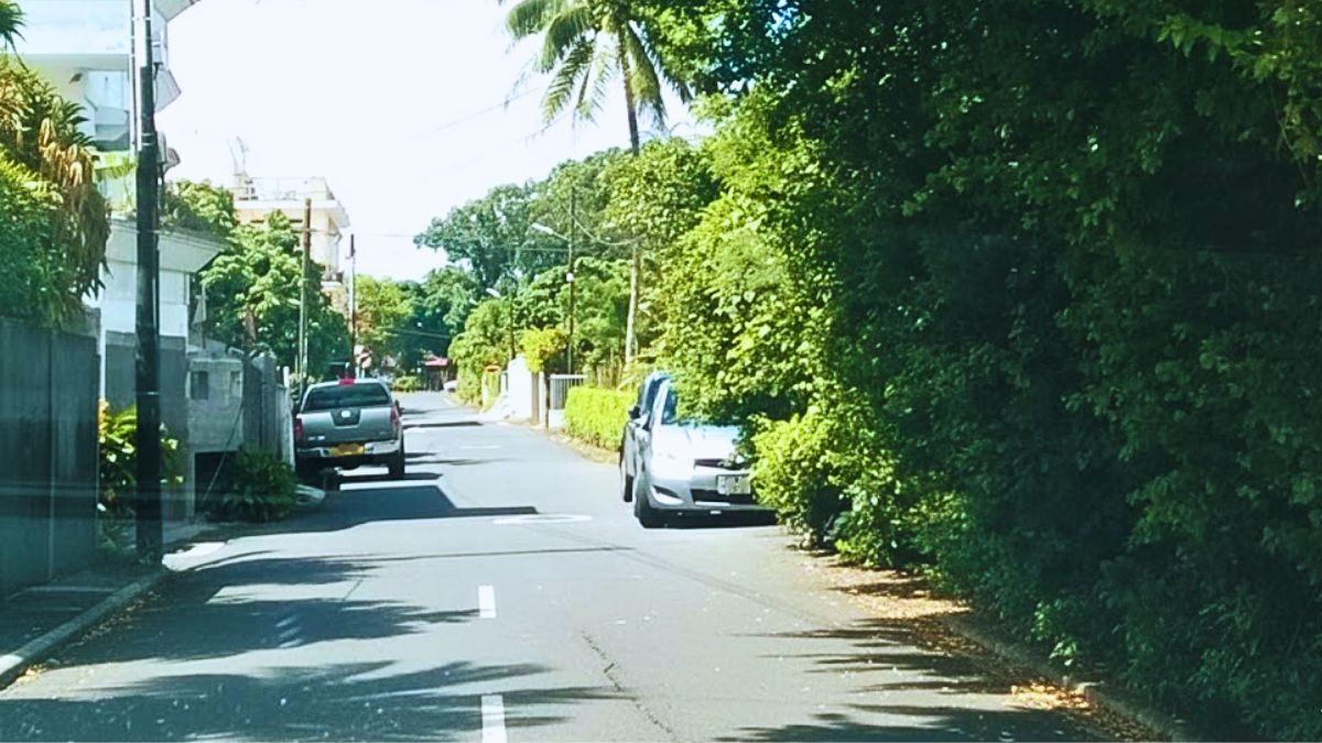 Major Road Hazard as Overgrown Hedges Block Visibility for Beau-Bassin Drivers