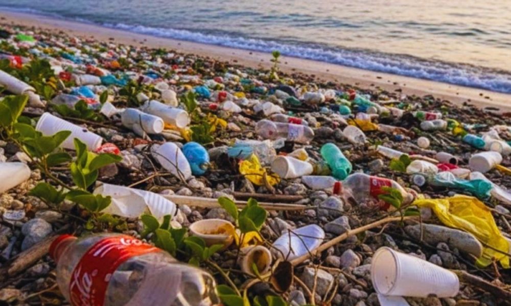 500-Tonne Festive Filth: A National Shame For Our Mauritian Beaches