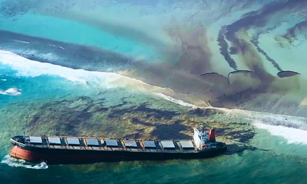 Wakashio: Legal Action Pending for Okiyo Maritime Corporation Over 6,300 Claims