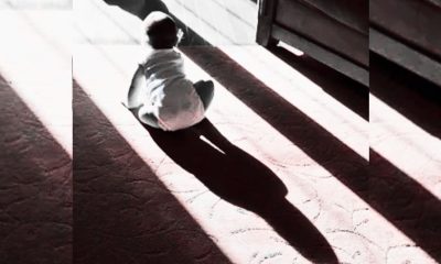 A 10 Month Old Baby has Died after Suffering Severe Scalding Burns