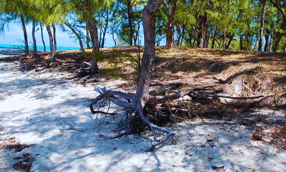 Mauritius Pleads for International Aid as Erosion Threatens over 10 Vulnerable Beaches