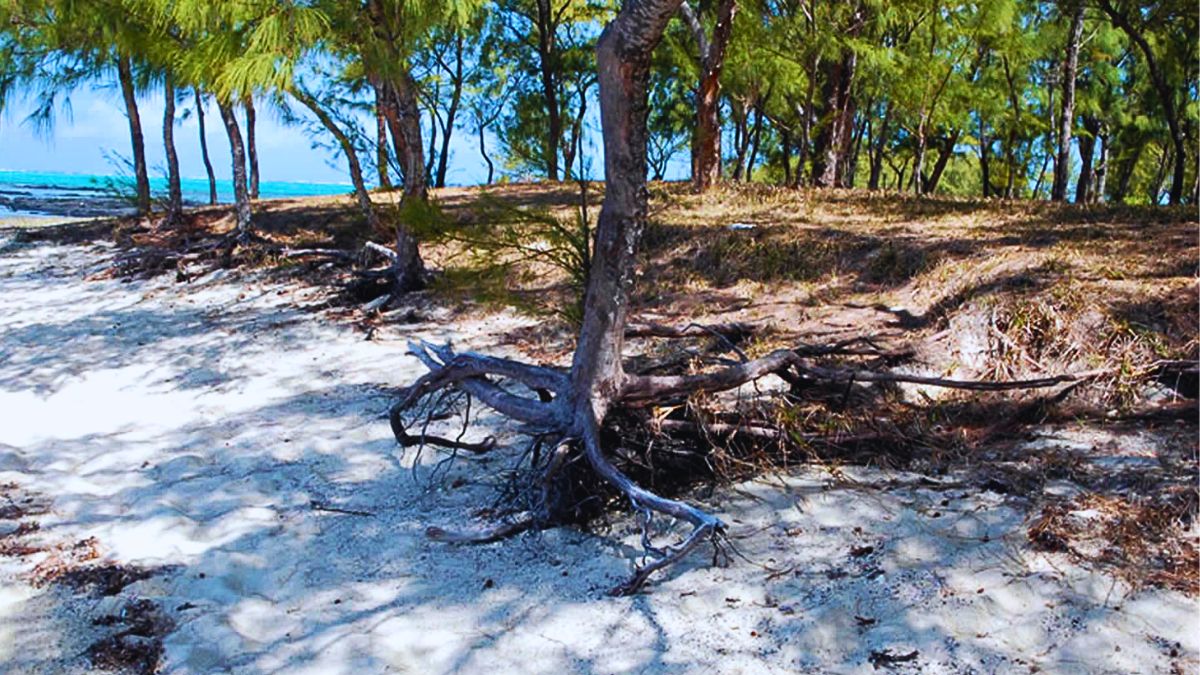 Mauritius Pleads for International Aid as Erosion Threatens over 10 Vulnerable Beaches