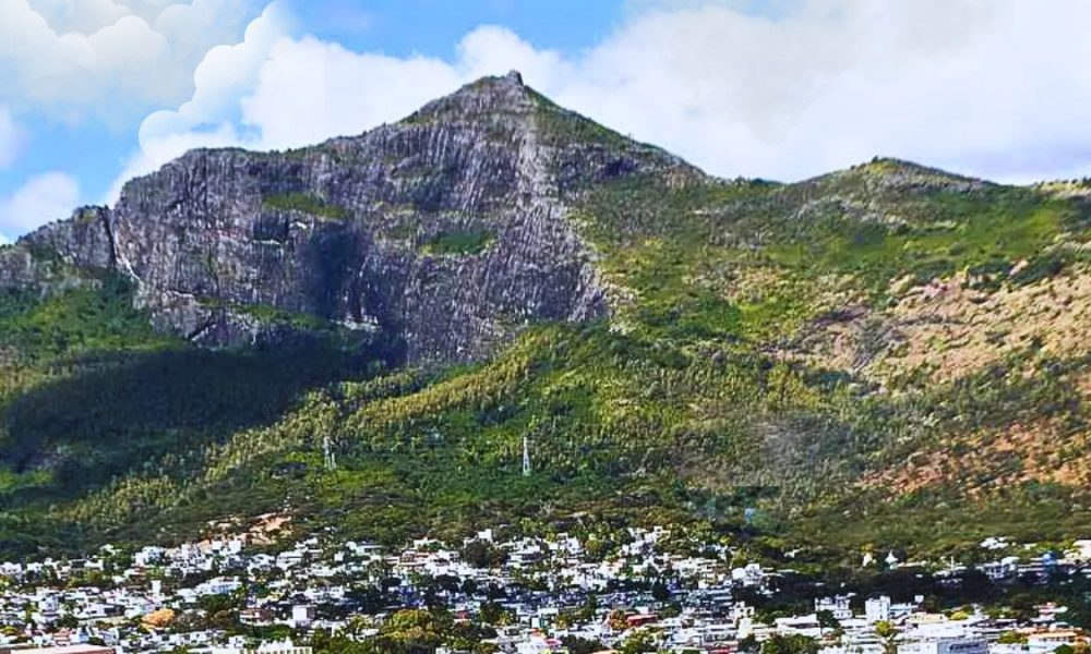 Montagne des Signaux Green Rebirth : 15-Hectare Restoration Project Unveiled