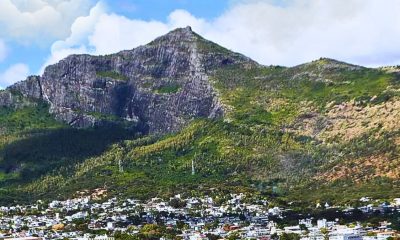 Montagne des Signaux Green Rebirth : 15-Hectare Restoration Project Unveiled