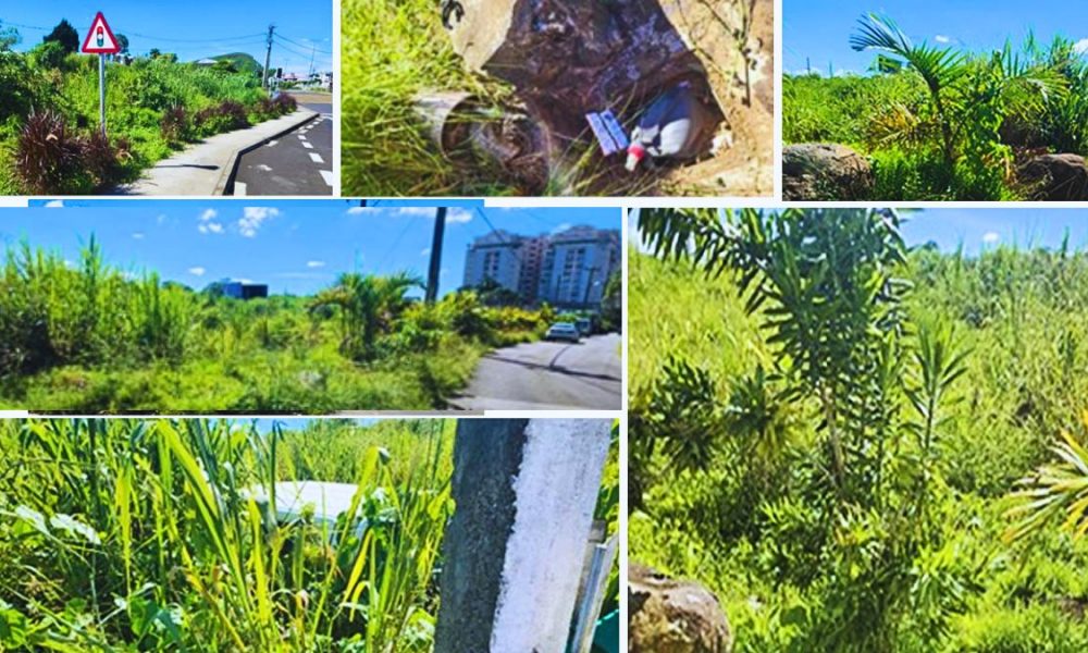 800 Families in Sodnac Demand Action over Dangerous Levels of Municipal Neglect