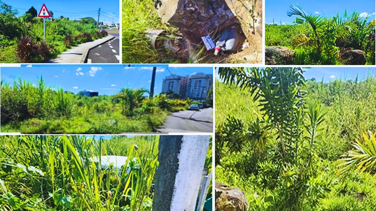 800 Families in Sodnac Demand Action over Dangerous Levels of Municipal Neglect