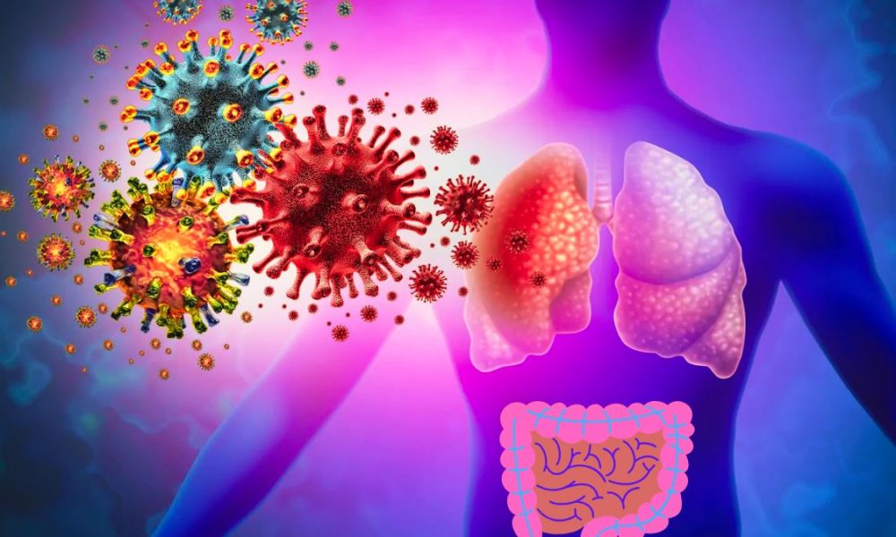 Health Officials: 56 Chikungunya Cases while 1,404 Patients Suffer from Gastroenteritis