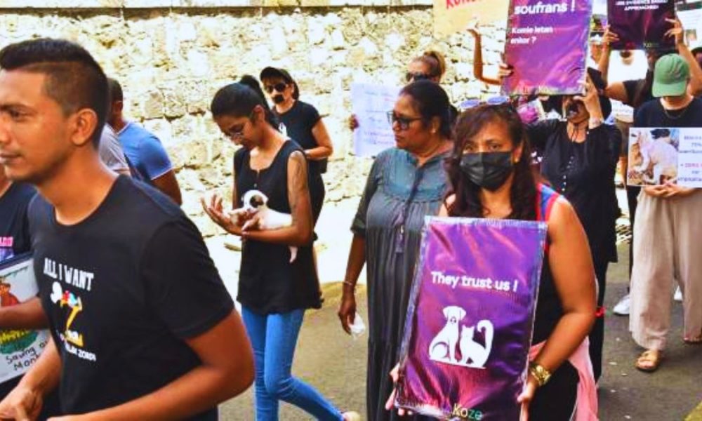 Over 10 NGOs Unite for the 1st Time to Demand Concrete Animal Welfare Action