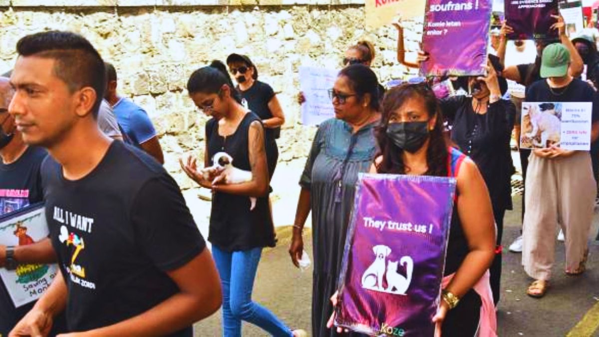 Over 10 NGOs Unite for the 1st Time to Demand Concrete Animal Welfare Action