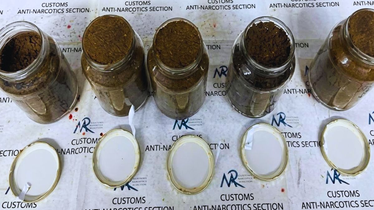 Mauritian Customs Seize 2 Cannabis Shipments Valued at Over Rs 11 Million