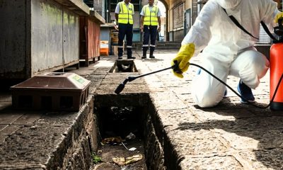 Curepipe Targets 500 Abandoned Plots of Land to Halt Rising Rat Infestation