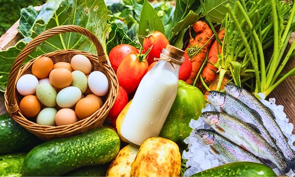 Audit Exposes Critical Concerns Across Agriculture, Fisheries & Food Safety Oversight