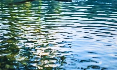 17-Year-Old Boy Dies in Floréal Drowning Tragedy