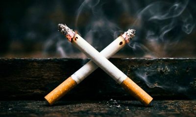 Mauritius Ranks Among Top 15 Nations for Resisting Tobacco Lobby Influence