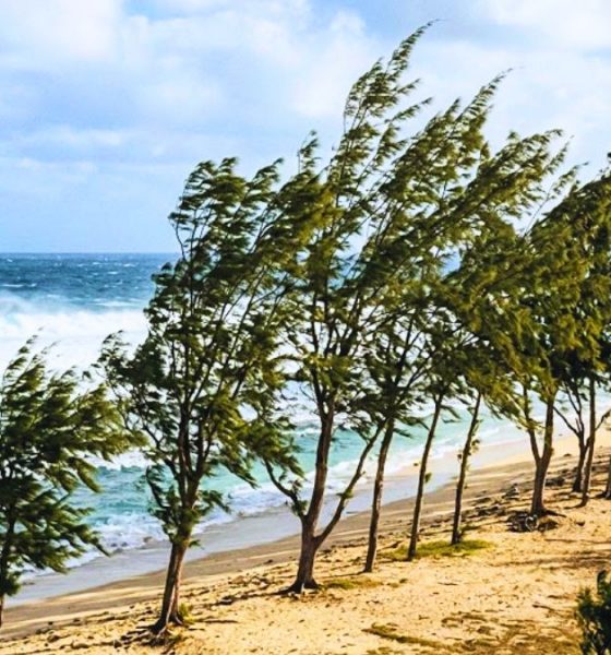 Mauritius Faces 60km/h Wind Gusts as Cold Anticyclone Moves In