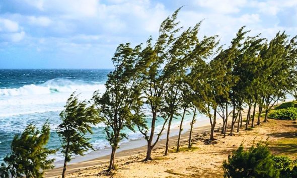 Mauritius Faces 60km/h Wind Gusts as Cold Anticyclone Moves In
