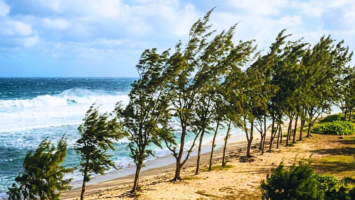 Warning for Mauritius as 50km/H Gusts Strike South and West Lagoons