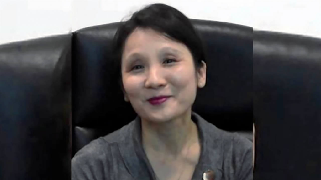 Structural Gaps and 15 % Energy Hikes Threaten Mauritius Tech Sector Viability