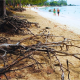 Mauritius Backs Landmark UN Climate Vote Opposed by 8 Major Nations