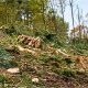 New Law Brings 10 Year Prison Sentences For Severe Environmental Destruction