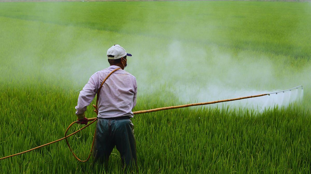 Ministry Enforces 3 Major Areas for Pesticide Safety and Rigorous Residue Monitoring