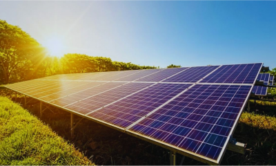 Rodrigues Advances Green Transition with Historic Rs 26.5 Million Solar Farming Venture
