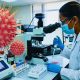 Public Health Crisis as 168 Chikungunya 3 Leptospirosis and 2 Mpox Remain