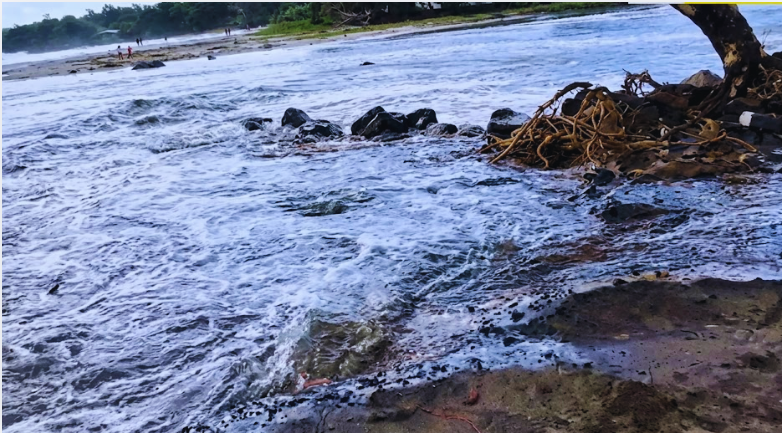 Coastline Erosion: Tamarin Beach Loses 30 Metres of Sand in 'Record Time'