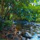 Missing Hiker, 26, Found Safe after Night in Black River Gorges