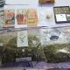 British Man Arrested in Flic-en-Flac with 4 Bags Cannabis